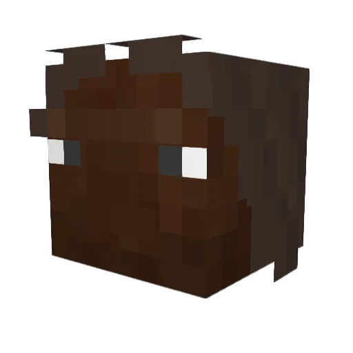 Metrivel Minecraft avatar head, 3D render