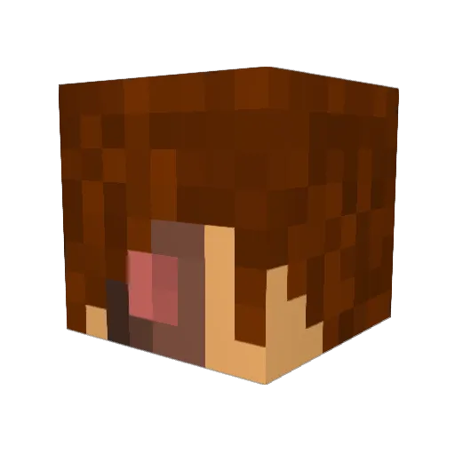 MetroD_SansSouci Minecraft avatar head, 3D render