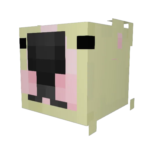 MetroPoof Minecraft avatar head, 3D render