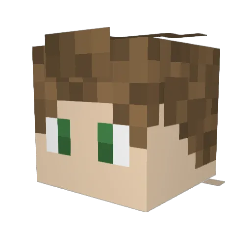 Metro_Nate Minecraft avatar head, 3D render