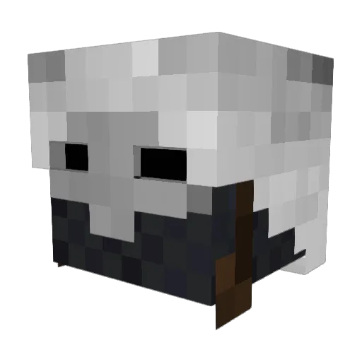 Metroid200 Minecraft avatar head, 3D render