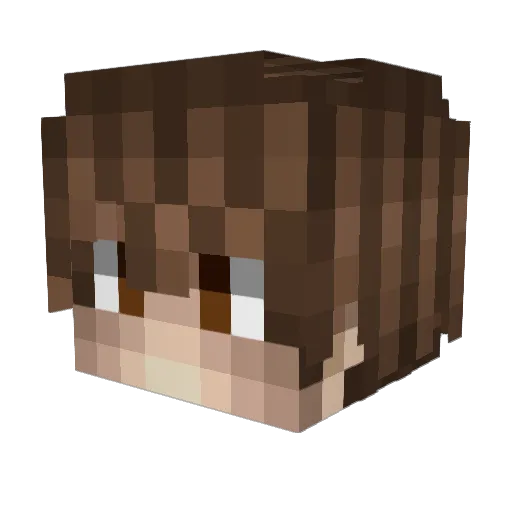 Metropolises Minecraft avatar head, 3D render