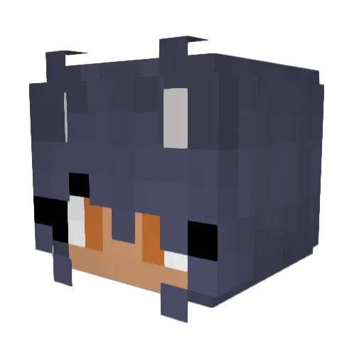 MetsaWasTaken Minecraft avatar head, 3D render