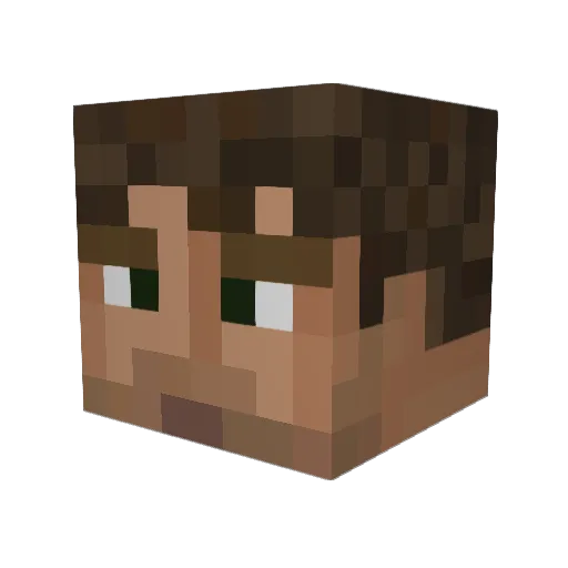 Mett_Fischer Minecraft avatar head, 3D render