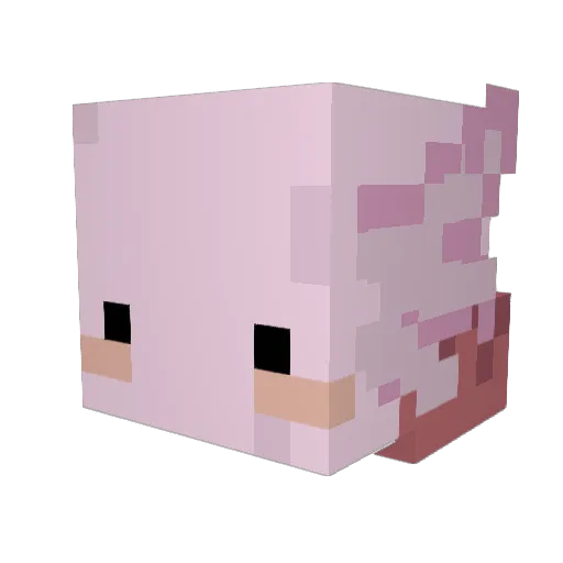 Metter3000 Minecraft avatar head, 3D render