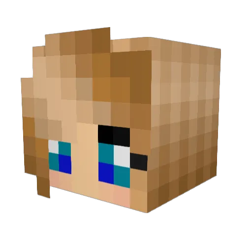 MettieDeBeste Minecraft avatar head, 3D render