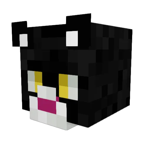 Mettwerk Minecraft avatar head, 3D render