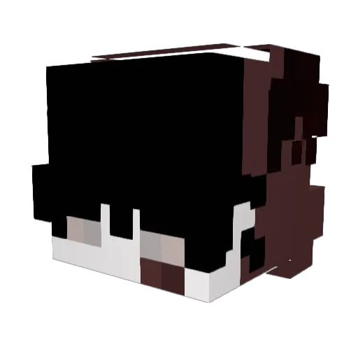 Metxnfetaminaa Minecraft avatar head, 3D render