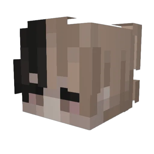 Mew29 Minecraft avatar head, 3D render