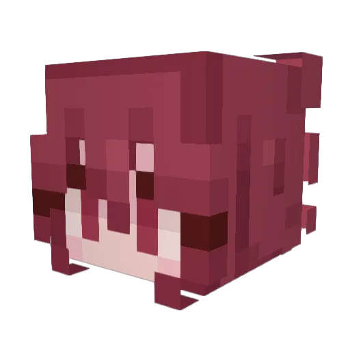 Mewjas Minecraft avatar head, 3D render