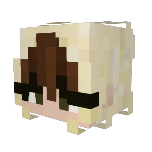 MewnCat Minecraft avatar head, 3D render