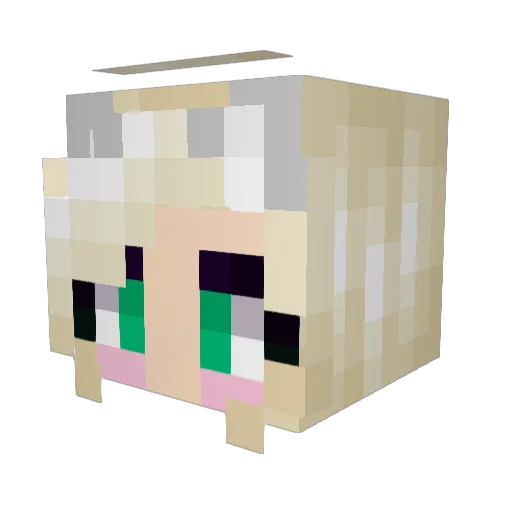 Mewn_Cat Minecraft avatar head, 3D render