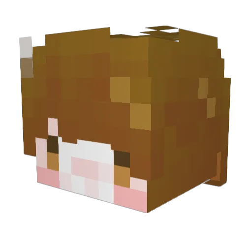 Mewozi Minecraft avatar head, 3D render