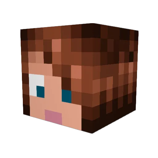 Mewynn Minecraft avatar head, 3D render
