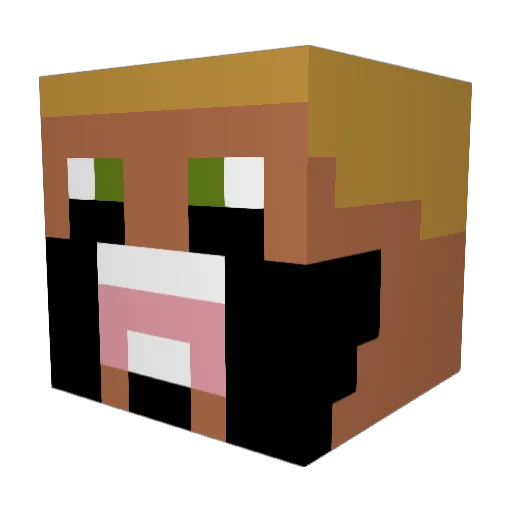 Mexican117 Minecraft avatar head, 3D render