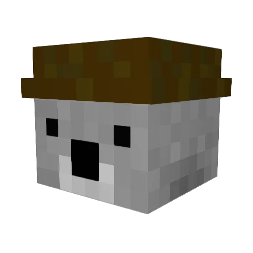 MexicanKoala1 Minecraft avatar head, 3D render