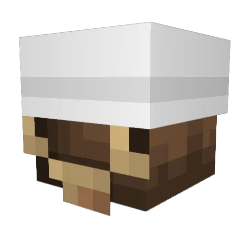 MexicanMocha Minecraft avatar head, 3D render
