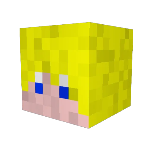 MexicanNinja14 Minecraft avatar head, 3D render