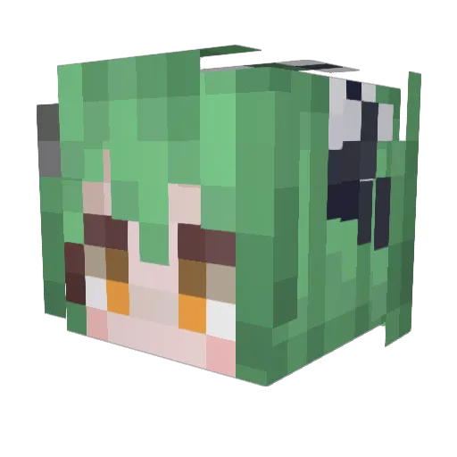 MexicanPai Minecraft avatar head, 3D render