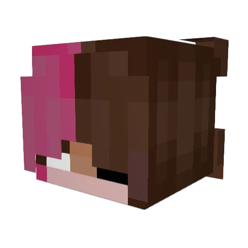 Mexican_Rose Minecraft avatar head, 3D render