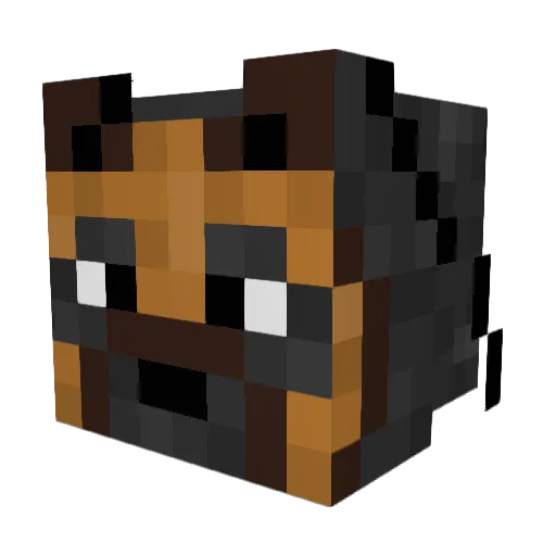 Mexicansheperd Minecraft avatar head, 3D render