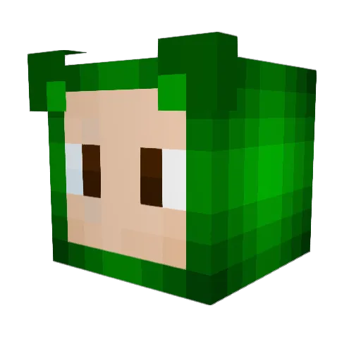 MexikanerTigi Minecraft avatar head, 3D render