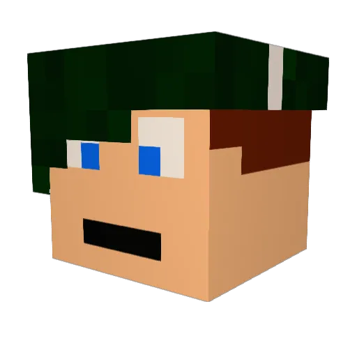 Meyer130 Minecraft avatar head, 3D render