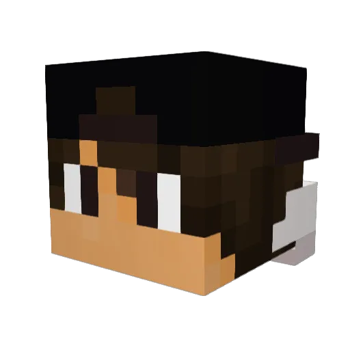 Meyer Minecraft avatar head, 3D render