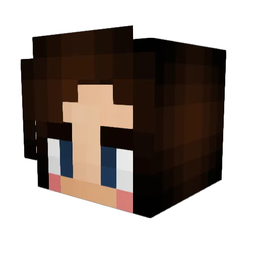 Meyr3356 Minecraft avatar head, 3D render