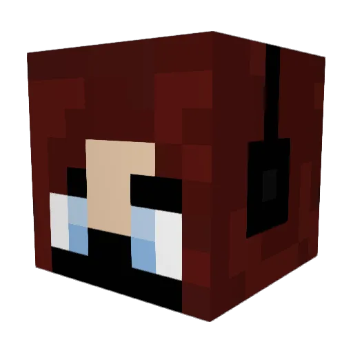 Meyss317 Minecraft avatar head, 3D render