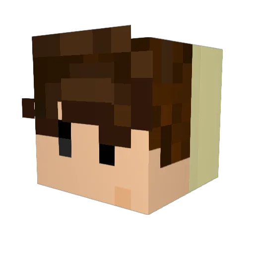 Mezgula Minecraft avatar head, 3D render