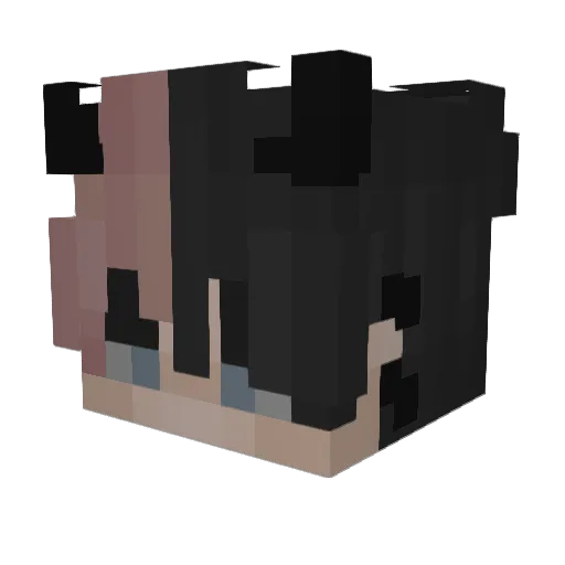 Mezo12 Minecraft avatar head, 3D render