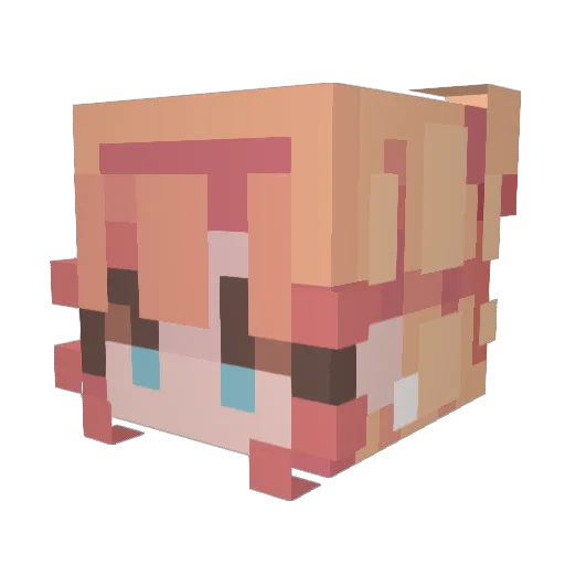 Mezzzi666 Minecraft avatar head, 3D render
