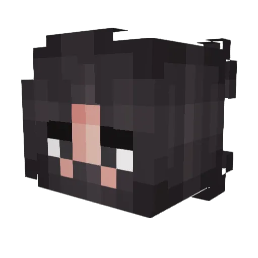 Mfgeorge Minecraft avatar head, 3D render