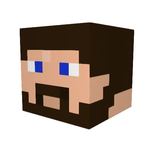 Mfox2000 Minecraft avatar head, 3D render
