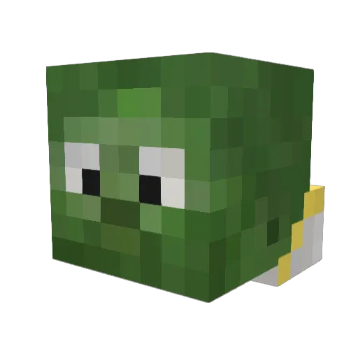 Mg20z Minecraft avatar head, 3D render