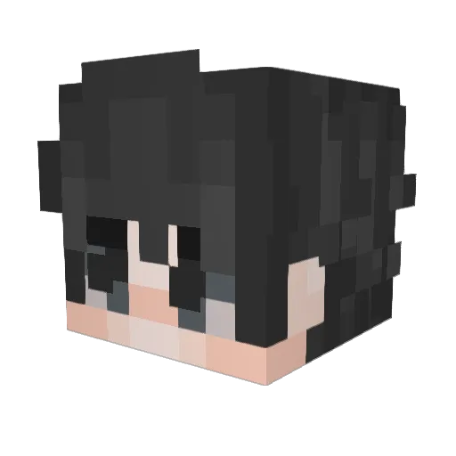 Mgrec4402 Minecraft avatar head, 3D render