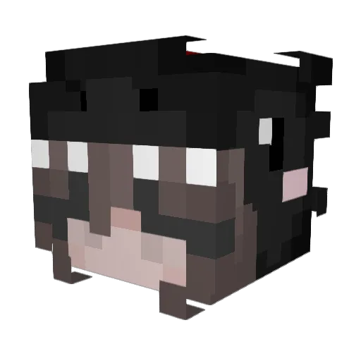 Mhhh67 Minecraft avatar head, 3D render