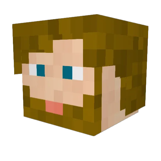Mhykol Minecraft avatar head, 3D render