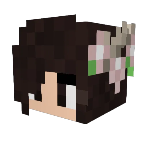 Mi1liee Minecraft avatar head, 3D render