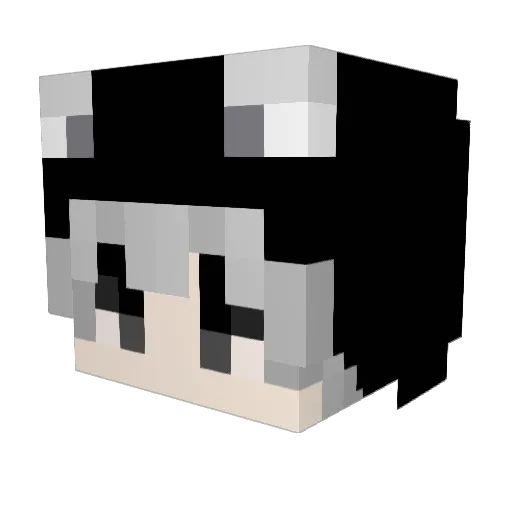 MiBi2009 Minecraft avatar head, 3D render