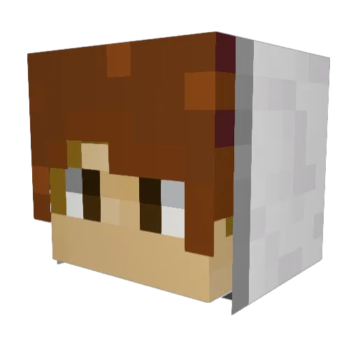MiColeCole Minecraft avatar head, 3D render
