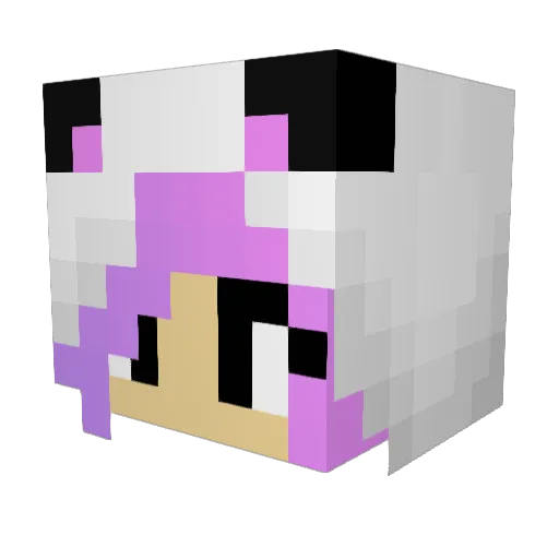 MiCorine Minecraft avatar head, 3D render