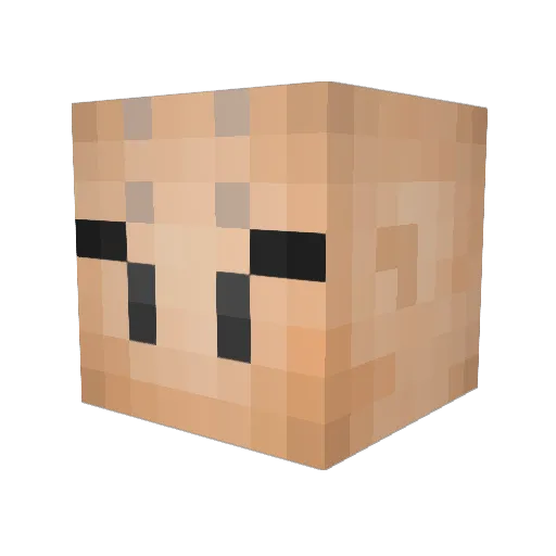 MiGO1909 Minecraft avatar head, 3D render