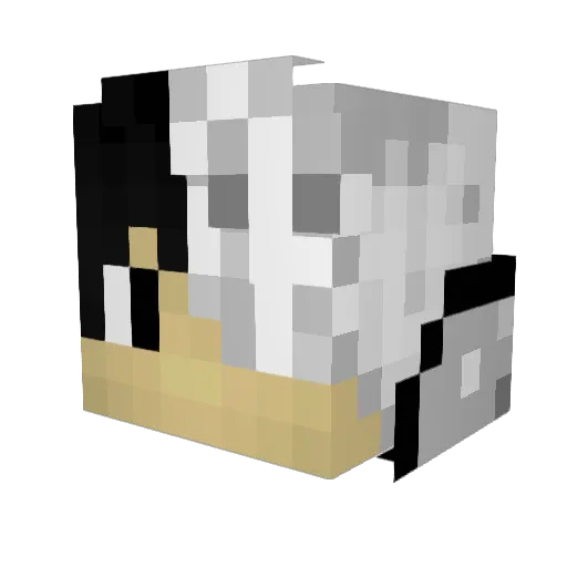 MiK_iO Minecraft avatar head, 3D render