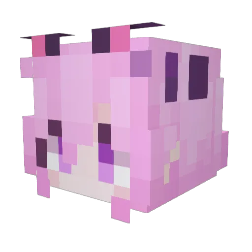 MiKoMai1019 Minecraft avatar head, 3D render