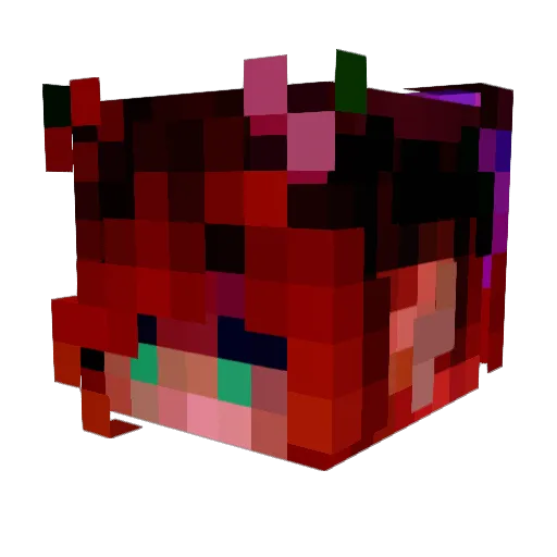Mi_Iris Minecraft avatar head, 3D render