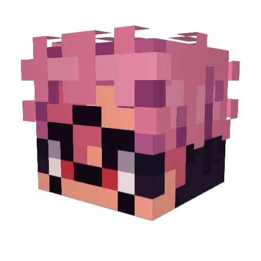 Mi_Mundo Minecraft avatar head, 3D render