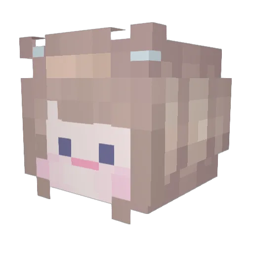Mi__0 Minecraft avatar head, 3D render