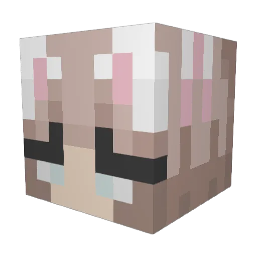 Mia621 Minecraft avatar head, 3D render